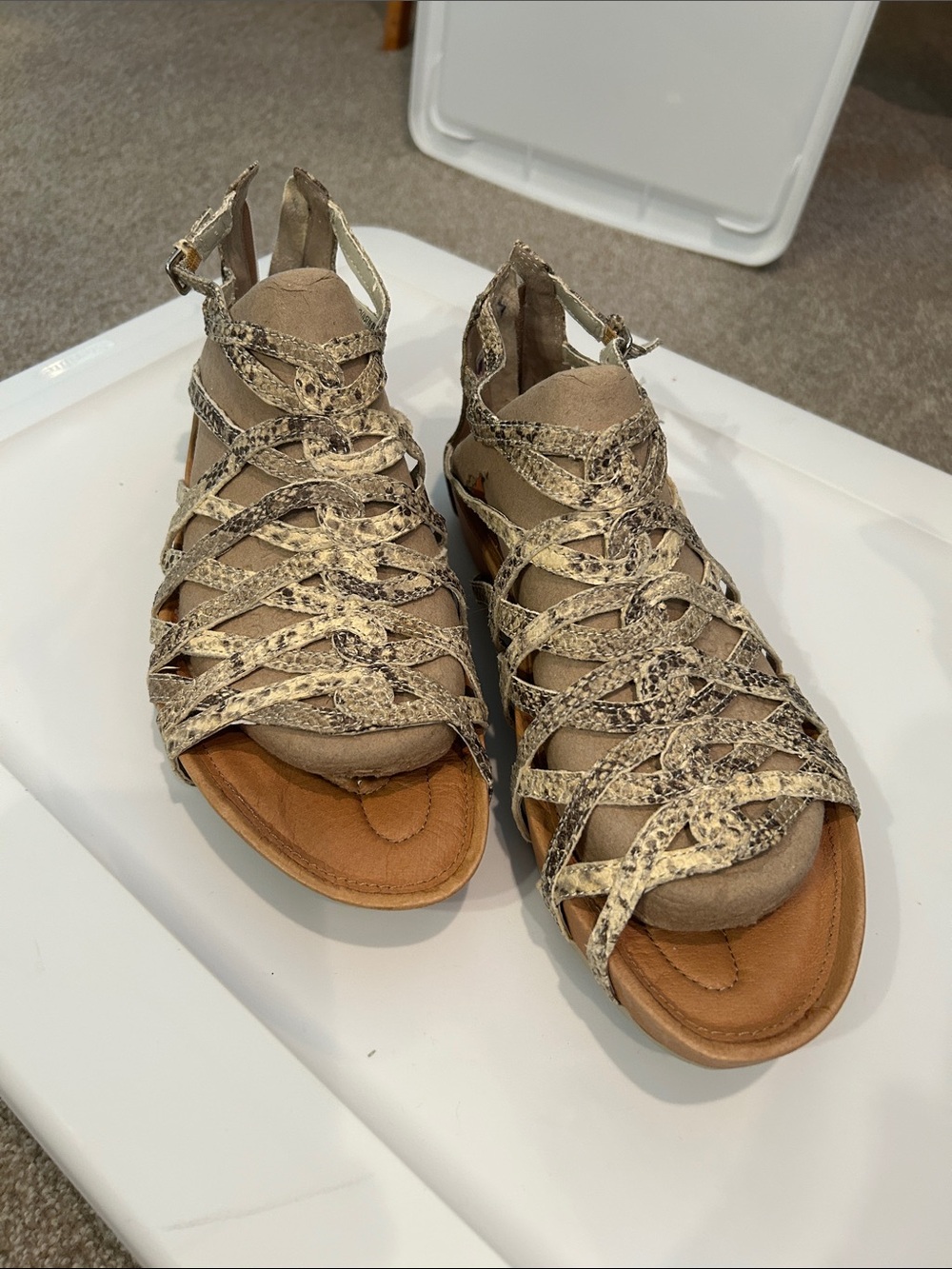 Women's Strappy Snake-Print Gladiator Sandals - Taupe